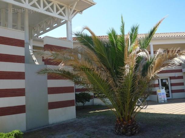 Soulac-Sur-Mer avec Piscine Extérieur photo